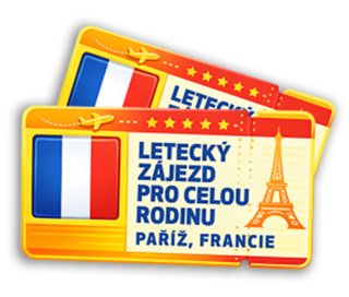 Letecký zájazd do Disneylandu